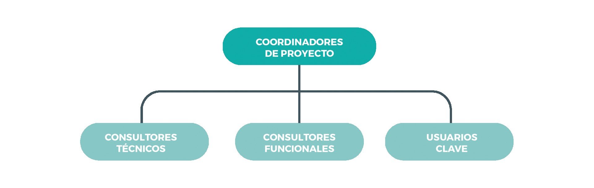 Como trabajamos