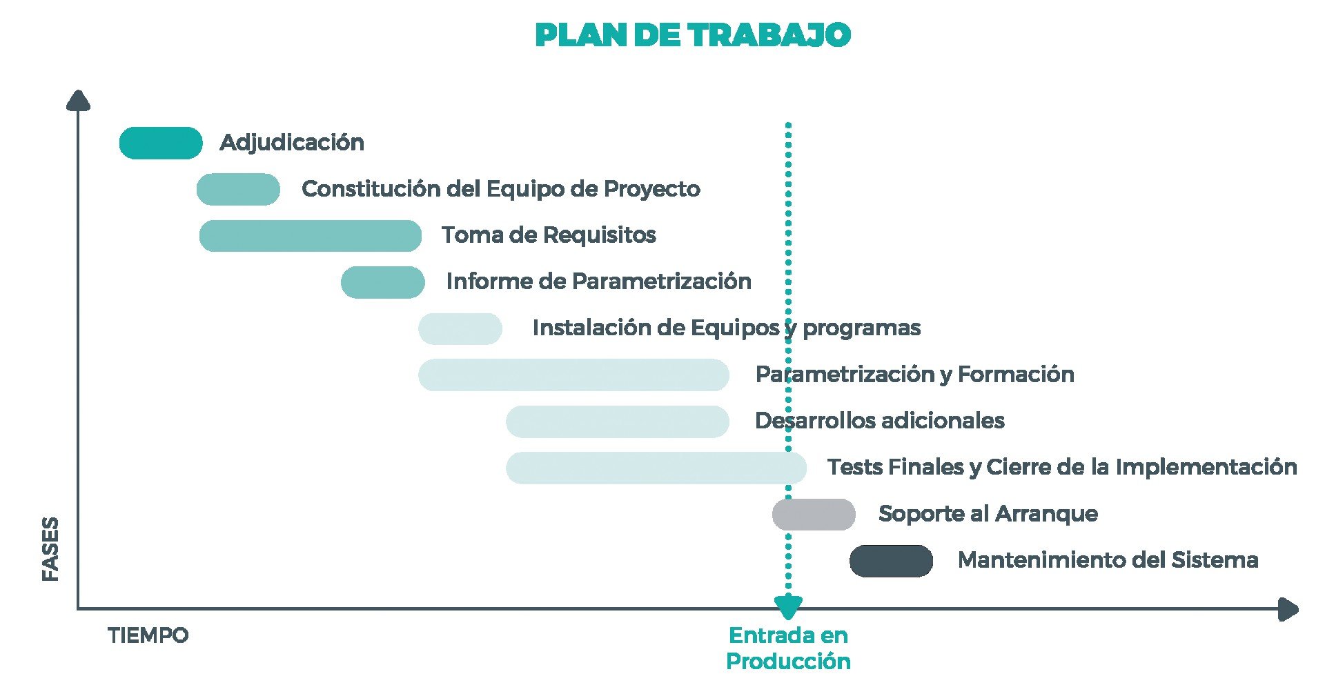 Como trabajamos